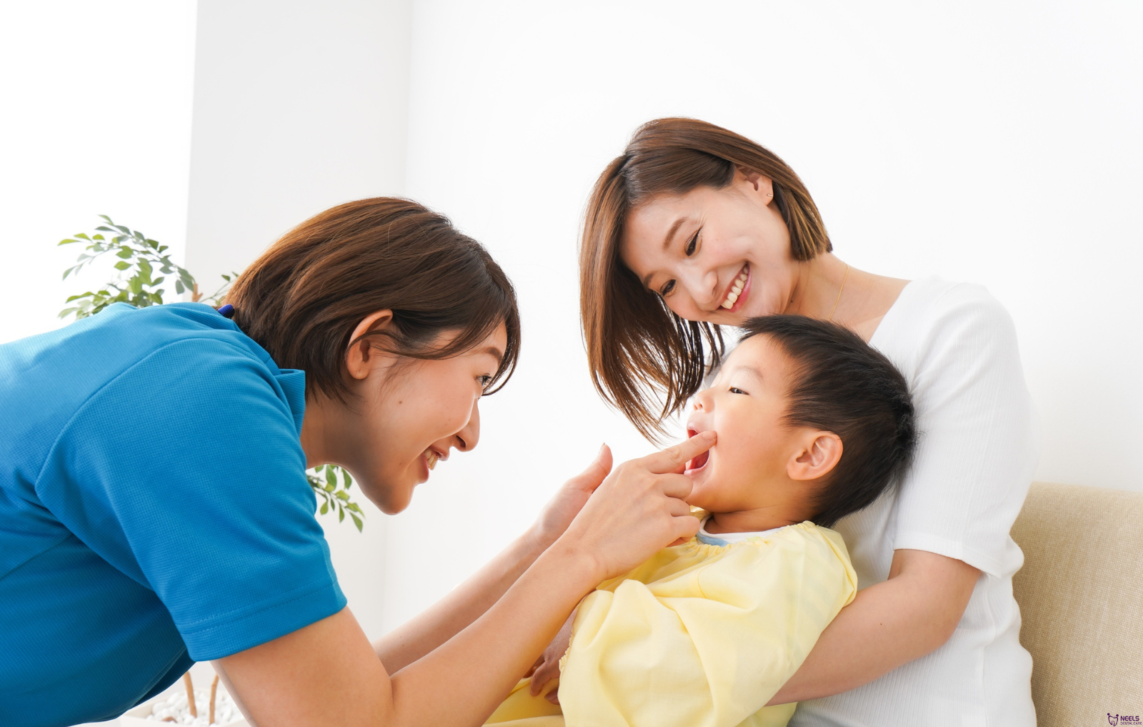 Dental Clinic in Madurai