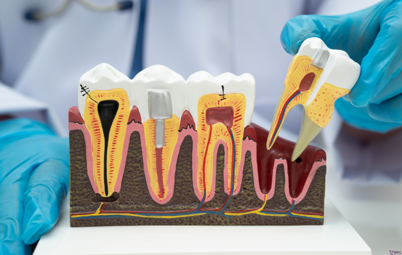 Dental Clinic in Madurai