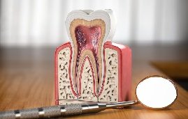 Dentist Near me in Madurai